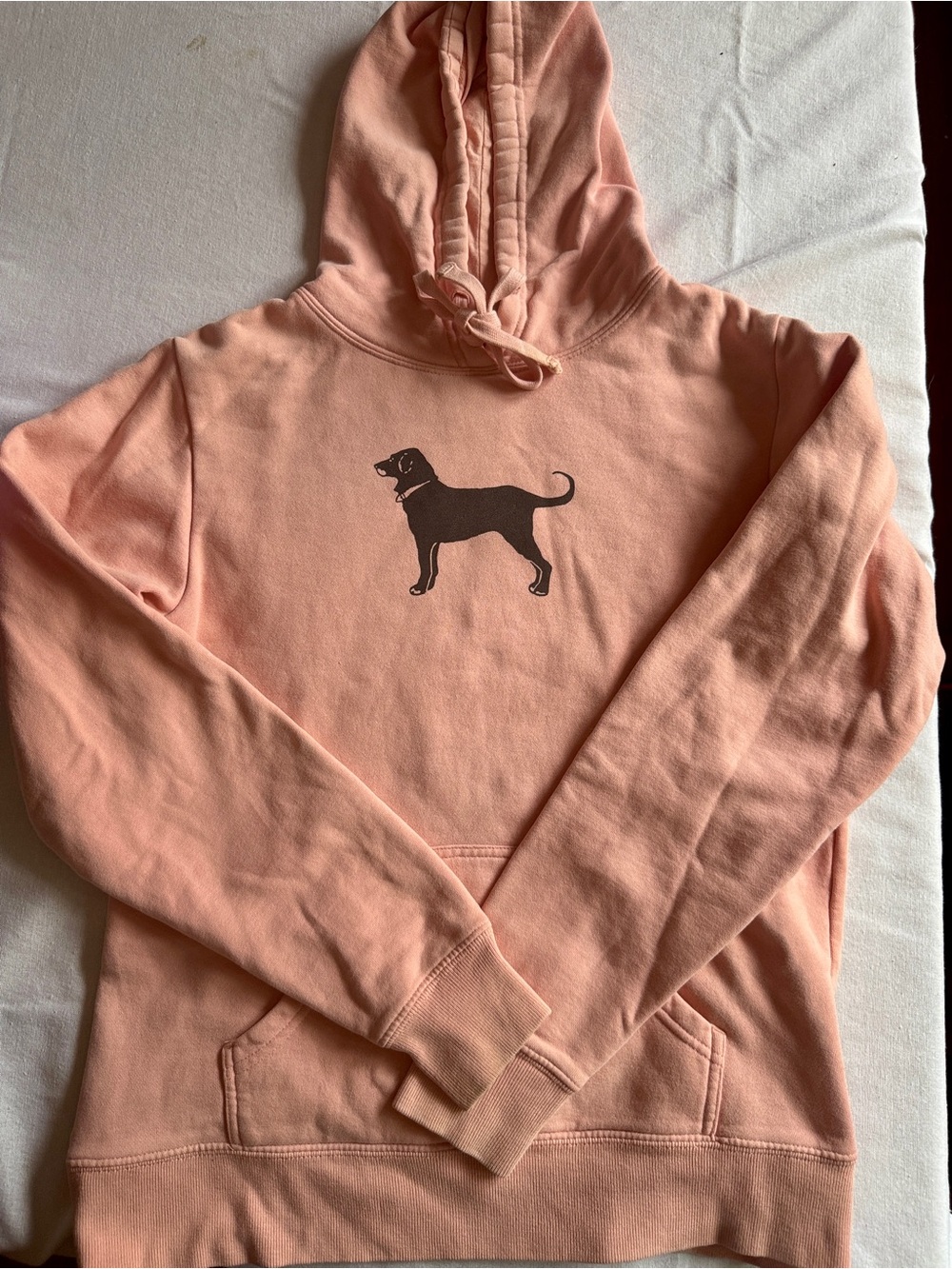 The Black Dog Peach Pullover Hoodie with Black Dog Graphic